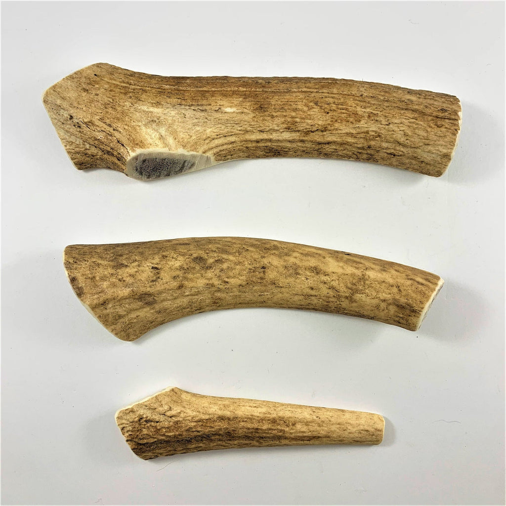 WHOLE Natural Deer Antler Chew